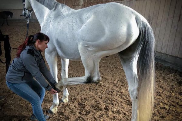 Arianna Viganò Arianna Viganò