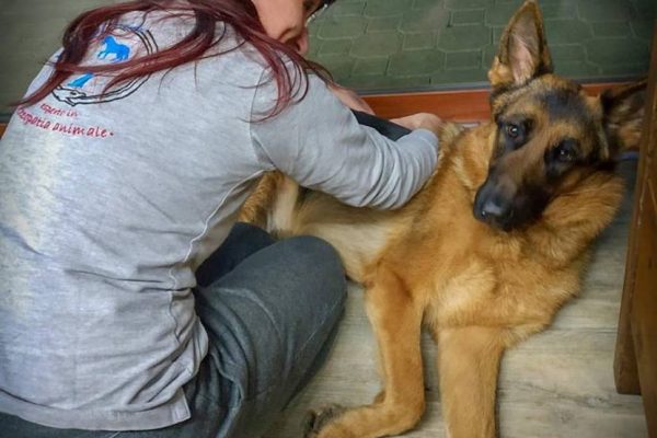 53435159_2233559973549946_3573556499877724160_n 53435159_2233559973549946_3573556499877724160_n