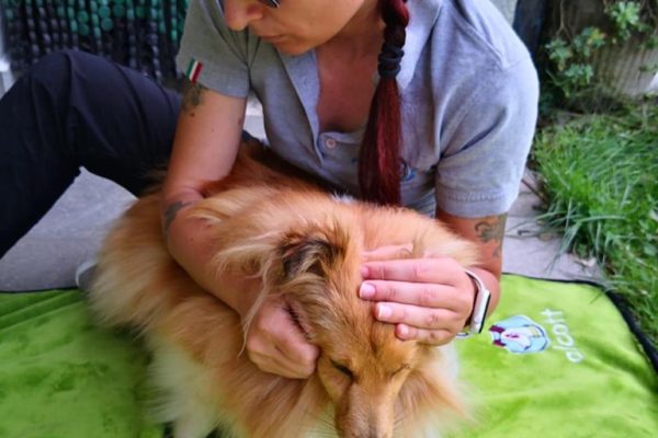 64513402_2298913640347912_1974644384368427008_n 64513402_2298913640347912_1974644384368427008_n