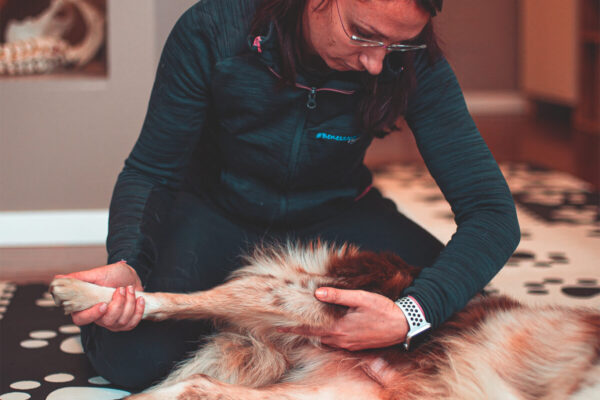 biorisonanza-8-web biorisonanza-8-web