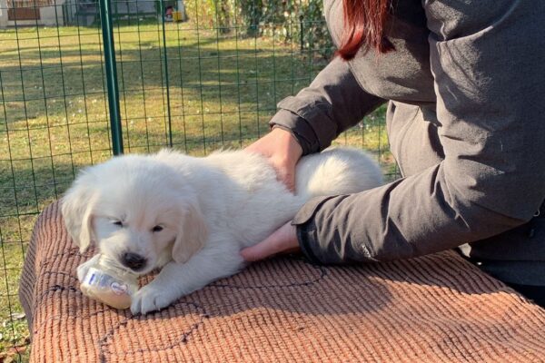 1d64cfb8-5d48-454d-8069-613a346baf42 1d64cfb8-5d48-454d-8069-613a346baf42