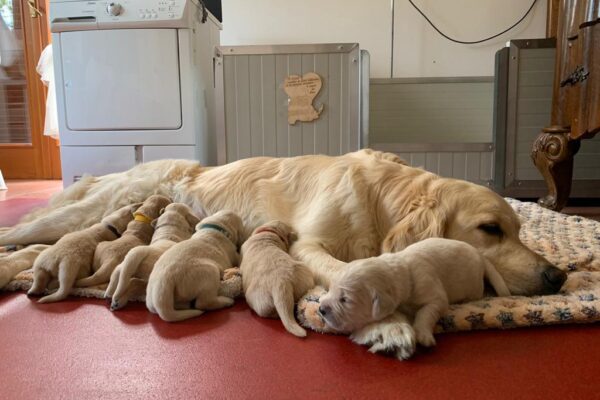 67fafb63-019e-462e-9333-1708998d8213 67fafb63-019e-462e-9333-1708998d8213