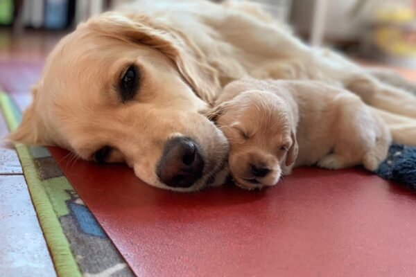 7e1df118-dd26-47e3-b0b0-207e9b73273a 7e1df118-dd26-47e3-b0b0-207e9b73273a