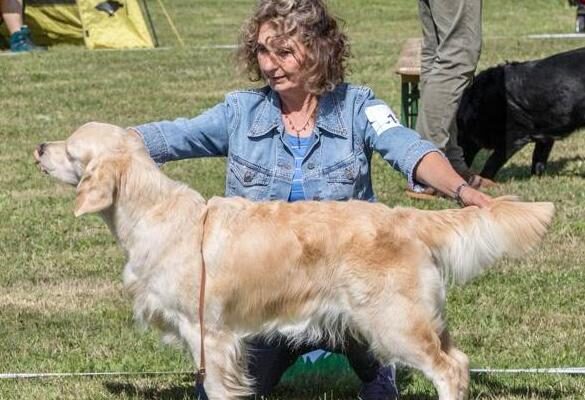 e4e9e5ed-1bbb-43a0-baeb-75ca7c320807 e4e9e5ed-1bbb-43a0-baeb-75ca7c320807